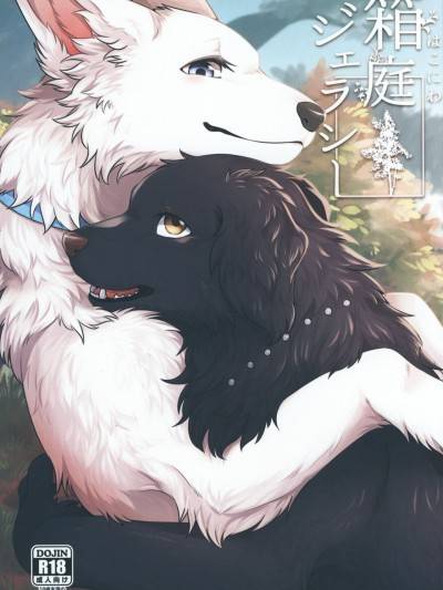 封面